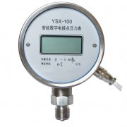 智能數字點接點壓力表 智能數字點接點壓力表